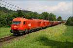 2016 055 und eine weitere 2016 ziehen den Holzzug 55557 von Zeltweg nach Frantschach. 
Eppenstein 8.6.2010