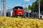 Blick über die Hecke auf die mit Rangierarbeiten beschäftigte 2068 009-6.