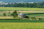 2143 062 kämpft sich mit dem  Nostalgie Express Leiser Berge  bei Sommerhitze durch die Weiten des Weinviertels in Niederösterreich. Die Aufnahme etstand am 20.07.2019 kurz vort Stetten Fossielenwelt.