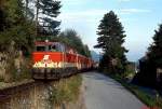 Mit einem Regionalzug von Wiener Neustadt nach Puchberg ist 2143 036-8 im September 1990 bei Grnbach am Schneeberg unterwegs