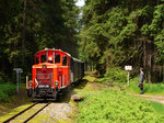 Auch der Polizist wartet auf den Zug. 2091.09 bei Langegger Walde mit einem Fotozug nach Heidenreichstein.
05.06.2016.