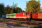 Der P8976 bespannt mit der 2095 007 ist im letzten Abendlicht im Juli 1996 im Bahnhof Brunn am Berg angekommen. 
Hier wird der Zug gestürzt und fährt anschließend nach Trassdorf weiter.