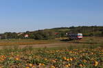 Kurz hinter Matzen fährt der 5047 041 als Regionalzug durch die Weiten des Weinviertels in Richtung Gänserndorf und passiert am 15.9.2019 eine der typischen Pferdekopfpumpen.
