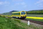 5047 502 der Raaberbahn/GySEV fhrt als R7719 von Wiener Neustadt Hbf nach Sopron.