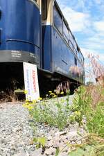 Nebenbahnromantik pur am 17.6.2023 in Bad Radkersburg mit dem 5081.55 der im Zuge einer Sonderfahrt, organisiert von der IG Neue Radkersburgerbahn von Graz hier her kam.