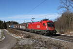 1016 049 mit einem gemischten Güterzug aus München kommend am 21. Februar 2024 bei Hufschlag/Traunstein.