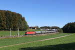 1016 011 mit einem  Kesselwagenzug  aus Salzburg kommend am 9. Oktober 2024 bei Axdorf im Chiemgau.