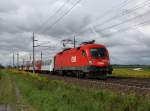 Die 1016 037 mit einem REX am 28.08.2010 unterwegs bei Oftering.