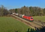 1016 030 mit einem Güterzug an 14.12.2013 bei Gutmart.