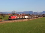 Die 1016 037 mit einem Güterzug am 12.02.2016 unterwegs bei Straß.