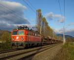 Die 1963 von SGP gebaute  1042 013 war am 27.10.2009 mit einem Schotterzug Richtung St.Michael unterwegs und wurde in Waltenbach bei Niklasdorf fotografiert. 