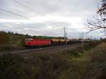 Der Herbst ist da - die Zweige sind blattlos, der Himmel ist bedeckt. Es ist recht khl als die 1044.40 mit einem Gterzug auf der Nordbahn bei Leopoldau einen Gterzug zieht. (30.10.09)