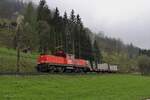 Mit einem einzelnen Holzwagen fährt die 1063 020 mit dem VG73625 am 3.5.2023 von Selzthal nach Admont hier kurz hinter Frauenberg an der Enns.