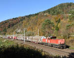 An einem wunderschönen Spätherbsttag im Okotber 2024 traktionierte die 1063 037 den VG 62753 von Frohnleiten nach Graz Vbf. und wurde dabei von mir nahe der ehemaligen Halstestelle Badl fotografiert.