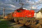 1063 019 beim Verschub im Bahnhof Zeltweg. 
10.5.2010