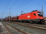 1116 130-6 zieht einen  Fals-Zug  bei Timelkam in Richtung Linz; 170317