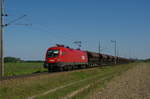 am 23. August 2016 ist die 1116 099 mit ihrem Güterzug bei Wampersdorf Richtung Wr.Neustadt unterwegs.