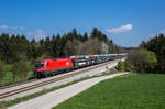 1116 043 fährt mit einem umgeleiteten Güterzug bei Grabenstätt in Richtung München, aufgenommen am 9. April 2017.