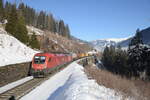 Am Morgen des 25. Jänner 2022 wurde der RCA-Zug 54541 von der 1116 046 und der 1293 189 traktioniert, und von mir auf dem 110 Meter langem Steinbach-Viadukt in Bad Hofgastein fotografiert.
