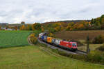 1116 098 ÖBB mit einem KLV-Zug bei Laaber Richtung Regensburg, 24.10.2020