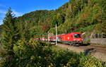 1116 117 mit einem Güterzug am 26.09.2023 bei Ingling.