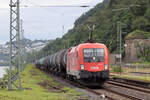 ÖBB 1116 177 in Koblenz-Ehrenbreitstein 9.8.2024