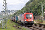 ÖBB 1116 117 in Koblenz-Ehrenbreitstein 9.8.2024