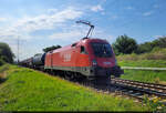 Stier-Alarm in Zscherben: 1116 145-4 (Siemens ES64U2) kommt mit Kesselwagen aus Großkorbetha Richtung Sangerhausen gefahren.
Dieser Zug ist ein Umleiter, denn normalerweise würde er über Naumburg (Saale) südwärts gehen. Wegen Bauarbeiten ist der Platz auf der Thüringer Bahn aber begrenzt.

🧰 ÖBB-Produktion GmbH
🕓 20.7.2024 | 9:53 Uhr