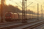 ÖBB 1116 105 in Hamburg-Harburg 4.2.2025