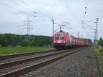 1116 223-6 der ITL mit dem Montags verkehrenden Containerzug aus Frankfurt-Hchst bei Hattersheim-Eddersheim am 19.05.08