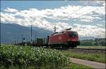 1116 191 schleppt unweit von Schwaz leere Holzwaggons in Richtung Wrgl. (08.07.2008)

