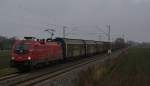 Hier RailCargoAustria 1116 003 in Aukofen am 17.11.2010 .