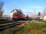 1116 024-9 rauscht als Lokzug auf der Ostbahn Richtung Wien;101123