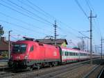 1116 161-9 durchfhrt mit OIC840  Rail Tours Austria  den Bahnhof Marchtrenk;110303