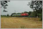 Kurz vor Pottendorf-Landegg lam mir am 3.8.2006 ER 9947 „Therme Bk“ von Szombathely nach Wien Sd vor die Linse.