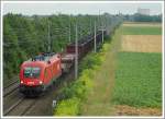 1116 128 am 4.8.2006 mit einem Kohlenstaubzug kurz vor Ebenfurth. Wie am Foto vielleicht zu erkennen ist, wurde an diesem Tag (wie auch schon am Vortag) um die Mittagszeit das Wetter schlechter.