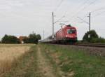 1116 196 (Rupert)zusehen am 27.06.14 in Neu-Ulm.