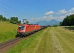 1116 271 + 1116 193 mit einem Güterzug am 05.06.2015 bei Rosenbach. 