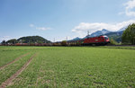 1116 151-2 zieht einen leeren Autozug aus Slowenien in Richtung Villach.
Aufgenommen am 5.5.2016 kurz nach dem Bahnhof Faak am See.