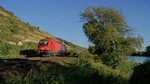 Am 30.08.2016 durchfuhr DGS 41820 mit 1116 113, auf dem Weg von Ljubljana nach Rheinhausen, das Maintal zwischen Veitshöchheim und Thüngersheim. 