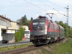 1116 213 zieht einen Railjet Budapest-München aus der Langsamfahrstelle bei Bruckmühl. Das Bild entstand während des großen Umleiterverkehrs 2016 auf der Mangfalltalbahn.
Bruckmühl, 09.05.2016.