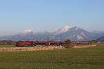 1116 208 am 4. April 2022 bei Bernau am Chiemsee.