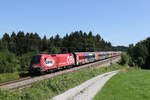 1116 249 mit dem  ÖFB-Railjet  aus Salzburg kommend am 6. August 2020 bei Grabenstätt im Chiemgau.