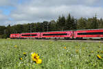 Am 06 Oktober 2024 war der RJX aus dem Jubiläums-Railjet  100 Jahre ÖBB  bei Eglharting unterwegs.