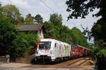 Der LP 36351 dient zum Wagentausch zwischen Wien West und Wien FJB. Am 27.06.2013 waren 1116 130 und 1116 138 fr diese Leistung eingeteilt und hatten rund zehn Doppelstockwagen zu berstellen. Die Aufnahme entstand auf der Verbindungsbahn unweit des Bahnhofs Maxing.