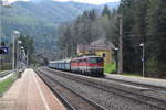 1142 595 und eine zweite 1142 ziehen einen Güterzug über den Semmering, hier in Breitenstein beim Semmering.