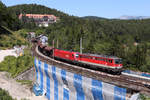 Eine der letzten mit Pflatsch fahrenden 1142,die 685 leistet einer 1116 beim GAG-49417 am Wolfsbergkogel Vorspann.