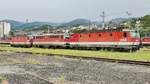 1144 204, 1142 664, und 1144 228 am Bahnhof Mürzzuschlag, 07.07.2019
