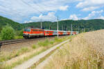 1142 644 ÖBB als REX 1779 (Passau Hbf - Linz Hbf) bei Wernstein, 22.07.2020