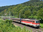 Die 1142 601  Philip  hatte im Juni 2022 den NG 62753 von Frohnleiten nach Graz Vbf. am Haken, und wurde dabei von mir im  Dschungel  von Badl-Peggau fotografiert.